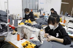 Một cơ sở may ở xã Hòa Hậu, huyện Lý Nhân (Hà Nam). (Ảnh: Trần Việt/TTXVN)