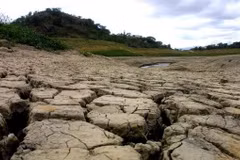(Nguồn: teleSUR)