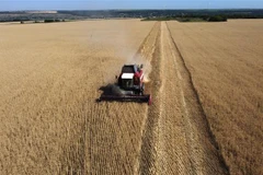 Ảnh minh họa. (Ảnh: AFP/TTXVN)