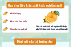 [Infographics] Cam Cao Phong được đánh giá cao tại thị trường Anh
