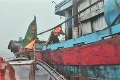 Ảnh minh họa. TTXVN phát