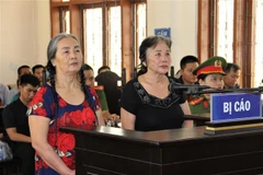 Hai bị cáo tại phiên toà. (Ảnh: TTXVN phát)