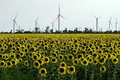 Các turbin điện ở gần Melitopol, vùng Zaporizhzhia (Ukraine). (Ảnh: AFP/TTXVN)