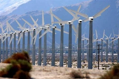 Cánh đồng turbin gió ở gần Palm Springs, California (Mỹ). (Ảnh: AFP/TTXVN)