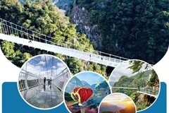 [Infographics] Tìm hiểu thông tin về bốn cây cầu kính ở Việt Nam