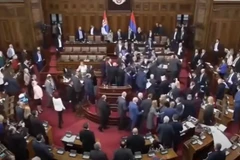 Nghị sỹ Serbia "nói chuyện" bằng nắm đấm lúc Tổng thống phát biểu