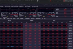 Thị trường chứng khoán Việt Nam kết thúc phiên 22/2 chìm trong sắc đỏ. (Ảnh: Vietnam+)