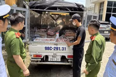 Số sản phẩm động vật không có nguồn gốc và đang bốc mùi hôi thối có số lượng gần 1 tấn. 