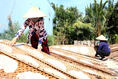 Những chiếc bánh tráng mỏng manh, đơn giản trải nhiều công đoạn khó, nhưng khó nhất là phải phụ thuộc vào thời tiết để có được những sản phẩm ngon nức tiếng gần xa. (Ảnh: Thu Hiền/TTXVN)