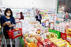 Việt Nam đạt mức tăng trưởng GDP là 8,02%, mức tăng trưởng cao nhất trong khu vực trong năm 2022. (Ảnh minh họa: TTXVN)