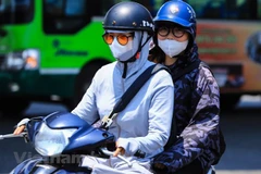 Ảnh minh họa. (Ảnh: Hoài Nam/Vietnam+)