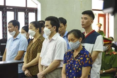 Các bị cáo nghe Tòa tuyên án. (Ảnh: Xuân Tư/TTXVN)
