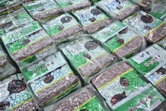 Ảnh minh họa. (Ảnh: AFP/TTXVN)