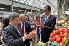 Đoàn Lãnh đạo Ủy ban Nhân dân thành phố Hồ Chí Minh thăm chợ cổ Bolhão. (Ảnh: Thu Hà/TTXVN)