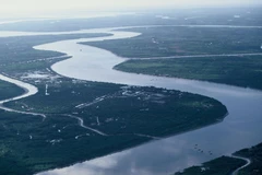 Đoạn sông Mekong chảy trên lãnh thổ Việt Nam. (Nguồn: WWF)