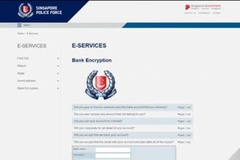 Ảnh chụp màn hình trang web giả mạo SBF. (Nguồn: SBF)