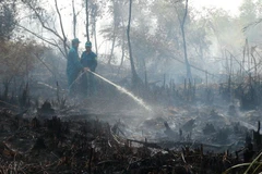 Lực lượng chức năng khẩn trương phun nước dập đám cháy rừng trong Vườn quốc gia U Minh Hạ. (Ảnh: Huỳnh Thế Anh/TTXVN)