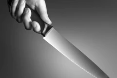 (Ảnh chỉ mang tính minh họa)