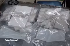 (Ảnh minh họa: Vietnam+)