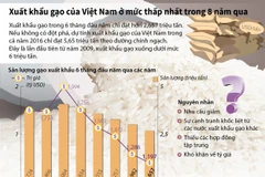 Xuất khẩu gạo của Việt Nam ở mức thấp nhất trong 8 năm qua