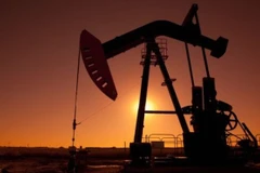 Ảnh minh họa. (Nguồn: Getty Images)