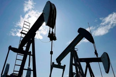 Ảnh minh họa. (Nguồn: THE CANADIAN PRESS)