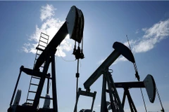 Ảnh minh họa. (Nguồn: nanonews.org)