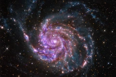 Ảnh minh họa. (Nguồn: Wikipedia)