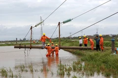 Công nhân Công ty Lưới điện Cao thế miền Bắc xử lý sự cố đổ cột đường dây 110 kV trên địa bàn tỉnh Nam Định. (Ảnh: Ngọc Hà/TTXVN)
