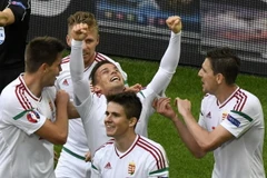 Các cầu thủ Hungary ăn mừng sau khi ghi bàn vào lưới đội tuyển Áo trong trận đấu thuộc bảng F EURO 2016. (Nguồn: AFP)