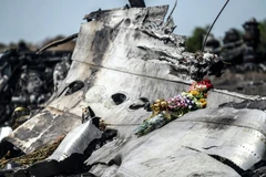 Mảnh vỡ máy bay MH17 rơi ở miền Đông Ukraine. (Nguồn: AFP)