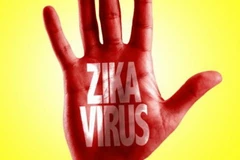 Mỹ ban bố tình trạng y tế khẩn cấp về Zika tại Puerto Rico 