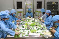 Ảnh minh họa. (Nguồn: TTXVN)