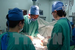 Ảnh chỉ có tính minh họa. (Ảnh: Thanh Thương/TTXVN)