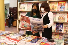 (Ảnh minh họa: Hoàng Nguyên/TTXVN)