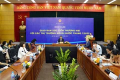 Quang cảnh hội nghị tại điểm cầu Hà Nội. (Ảnh: Trần Việt/TTXVN)