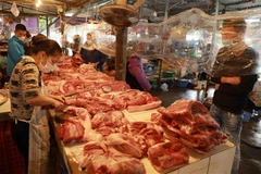 (Ảnh minh họa: Vũ Sinh/TTXVN)