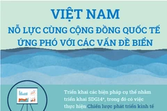 Việt Nam nỗ lực cùng cộng đồng quốc tế ứng phó với các vấn đề biển
