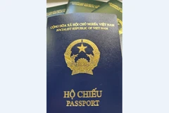 Cuốn hộ chiếu kiểu mới (màu xanh tím than) so với các cuốn hộ chiếu cũ màu xanh. (Ảnh: Mạnh Hùng/TTXVN)