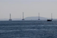 (Ảnh minh họa: Lê Huy Hải/TTXVN)