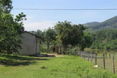 Một căn nhà tại thôn Đăk Wét, xã Đăk Pxi phải bỏ hoang do bị ngập lụt mỗi khi Thủy điện Đăk Psi 5 xả lũ. (Ảnh: Dư Toán/TTXVN.)