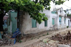 Việc hạ giải, dọn dẹp mặt bằng Kinh thành Huế diễn ra chậm. (Ảnh: Đỗ Trưởng/TTXVN)