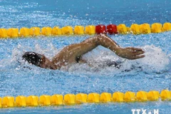 Võ Thanh Tùng khiến mọi người "ngả mũ" với tấm HCV thứ tư