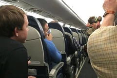 Bị buộc phải xuống máy bay vì mang lợn lên khoang hành khách