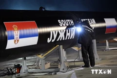 Nga cảnh báo hậu quả việc cản trở dự án "Dòng chảy phương Nam"