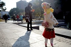 Chó gây "sốt" khi mặc quần áo đẹp và đi dạo bằng 2 chân sau 