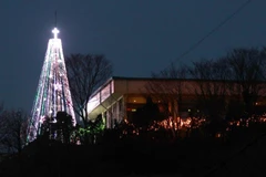 Triều Tiên cấm Hàn Quốc được dựng tháp đèn Noel ở biên giới 