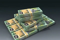 Ảnh minh họa. (Nguồn: Internet)