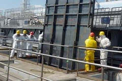 Nhà máy điện hạt nhân Fukushima 1. (Nguồn: AFP)