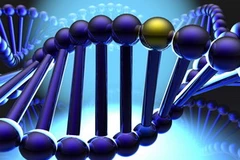 Ảnh minh họa. (Nguồn: Internet)